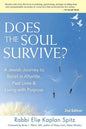 Does the Soul Survive? (2nd Edition): A Jewish Journey to Belief in Afterlife, Past Lives & Living with Purpose - Paperback