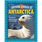 Awesome Animals of Antarctica: The Continent and Its Creatures Great and Small - Hardcover