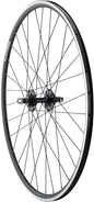 Quality Wheels Value Double Wall Series Track Rear Wheel - 700 10 x 1 x 120mm Rim Brake Fixed/Freewheel BLK Clincher 32H