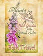 Plants for a Medieval Herb Garden in the British Isles - Paperback
