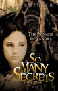 So Many Secrets - Paperback