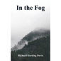 In the Fog - Paperback