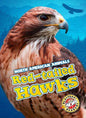 Red-Tailed Hawks - Library Binding