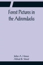 Forest Pictures in the Adirondacks - Paperback