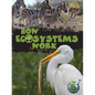 How Ecosystems Work - Paperback