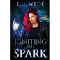 Igniting the Spark - Paperback