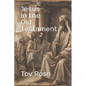 Jesus in the Old Testament - Paperback
