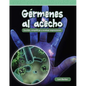 Gérmenes Al Acecho: Escribir, Simplificar Y Evaluar Expresiones - Paperback