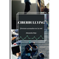 Ciberbullying: Jóvenes acosados en la red - Paperback