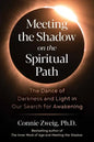 Meeting the Shadow on the Spiritual Path: The Dance of Darkness and Light in Our Search for Awakening - Paperback