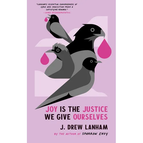 Joy Is the Justice We Give Ourselves - Hardcover
