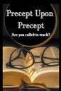 Precept Upon Precept - Paperback