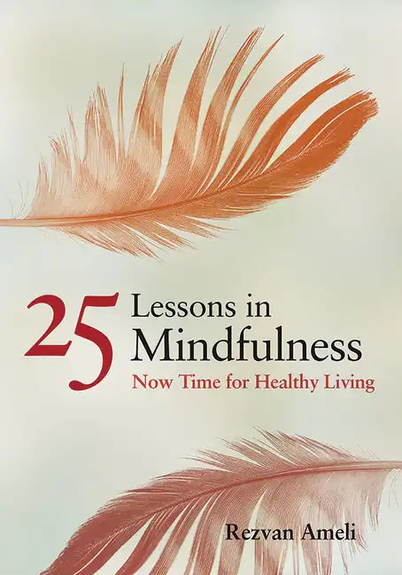 25 Lessons in Mindfulness: Now Time for Healthy Living - Paperback