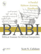 Biblical Aramaic for Biblical Interpreters: A Parallel Hebrew-Aramaic Handbook - Paperback