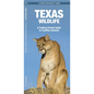 Texas Wildlife: An Introduction to Familiar Species - Paperback