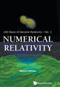 Numerical Relativity - Paperback