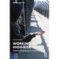 Working with High-Risk Youth: A Relationship-Based Practice Framework - Paperback