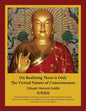 On Realizing There is Only the Virtual Nature of Consciousness: An English Translation of Xuánzàng's Vijñapti Matratā Siddhi - Paperback