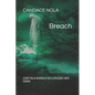 Breach: Lost in a world no longer her own. - Paperback