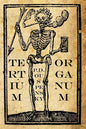 Tertium Organum: The Third Canon of Thought: A Key to the Enigmas of the World - Paperback