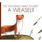 Do You Really Want to Meet a Weasel? - Library Binding