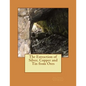 The Extraction of Silver, Copper and Tin from Ores - Paperback