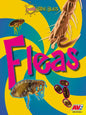 Fleas - Library Binding