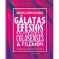 Descubriendo Gálatas, Efesios, Filipenses, Colosenses y Filemón: Estudio bíblico para jóvenes y guía del líder - Paperback