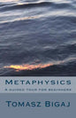 Metaphysics: A guided tour for beginners - Paperback