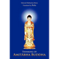 Thinking of Amit Bha Buddha - Paperback