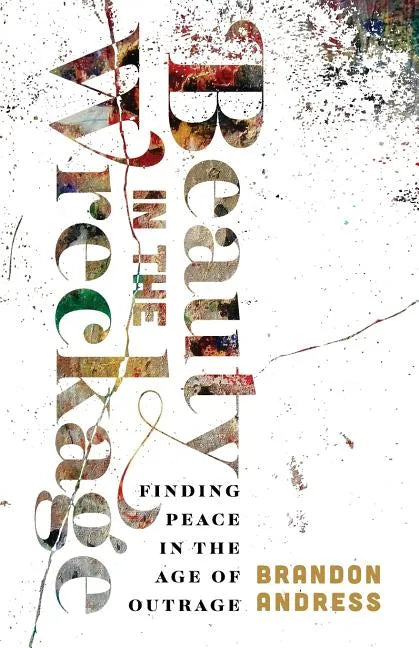 Beauty in the Wreckage: Finding Peace in the Age of Outrage - Paperback