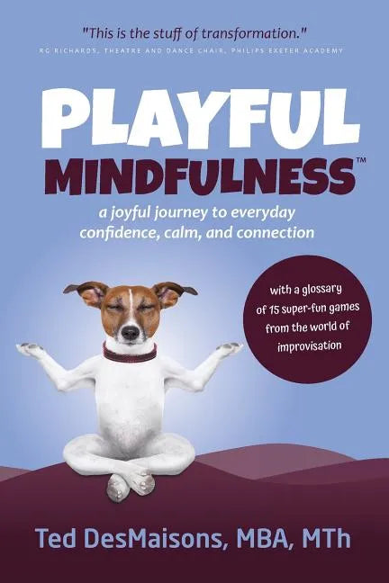 Playful Mindfulness: a joyful journey to everyday confidence, calm, and connection - Paperback