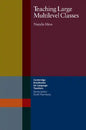 Teaching Large Multilevel Classes - Paperback