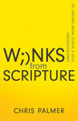 Winks from Scripture: Understanding God's Subtle Work Among Us - Paperback