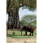 Bror Blixen in Tanganyika: Big Game and Volcanoes - Paperback