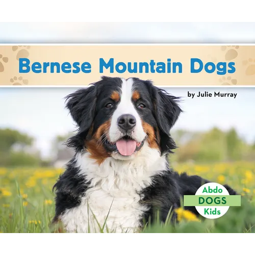Bernese Mountain Dogs - Library Binding