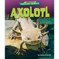 Axolotl - Paperback