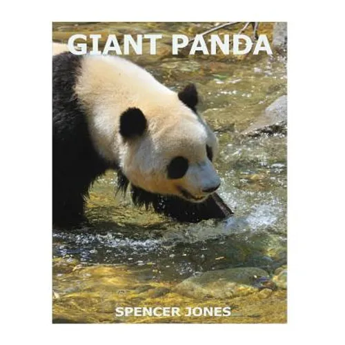 Giant Panda - Paperback