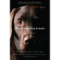 The Wrong Dog Dream: A True Romance - Paperback