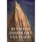 Between Different Cultures: Essays in Conversation with Yang Huilin - Paperback