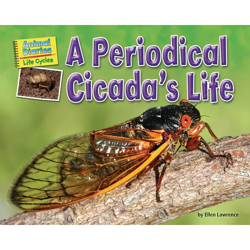 A Periodical Cicada's Life - Paperback
