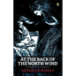 At The Back Of The North Wind - Paperback