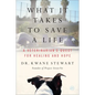 What It Takes to Save a Life: A Veterinarian's Quest for Healing and Hope - Paperback