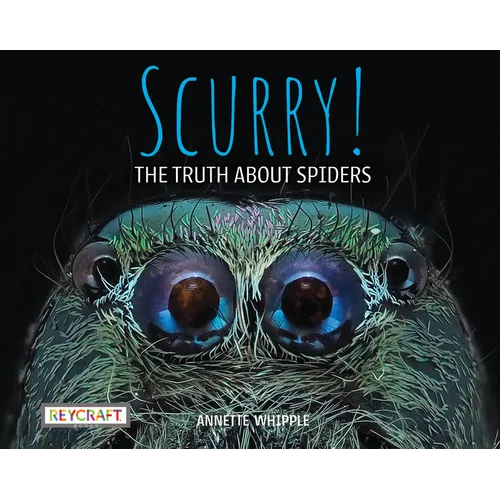 Scurry: The Truth about Spiders: The Truth about Spiders - Hardcover