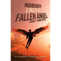 Nobody Likes a Fallen Angel: Author of Nobody Likes a Fat Jockey - Paperback