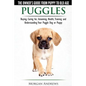 Puggles - The Owner's Guide from Puppy to Old Age - Choosing, Caring for, Grooming, Health, Training and Understanding Your Puggle Dog or Puppy - Paperback