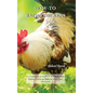 How-To Raise Chickens: Everything You Need to Know to Start Raising Chickens Right in Your Own Backyard - Hardcover