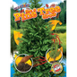 See a Pine Tree Grow - Library Binding
