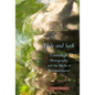 Hide and Seek: Camouflage, Photography, and the Media of Reconnaissance - Hardcover