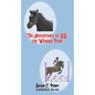 The Adventures of BB, the Wonder Pony - Paperback
